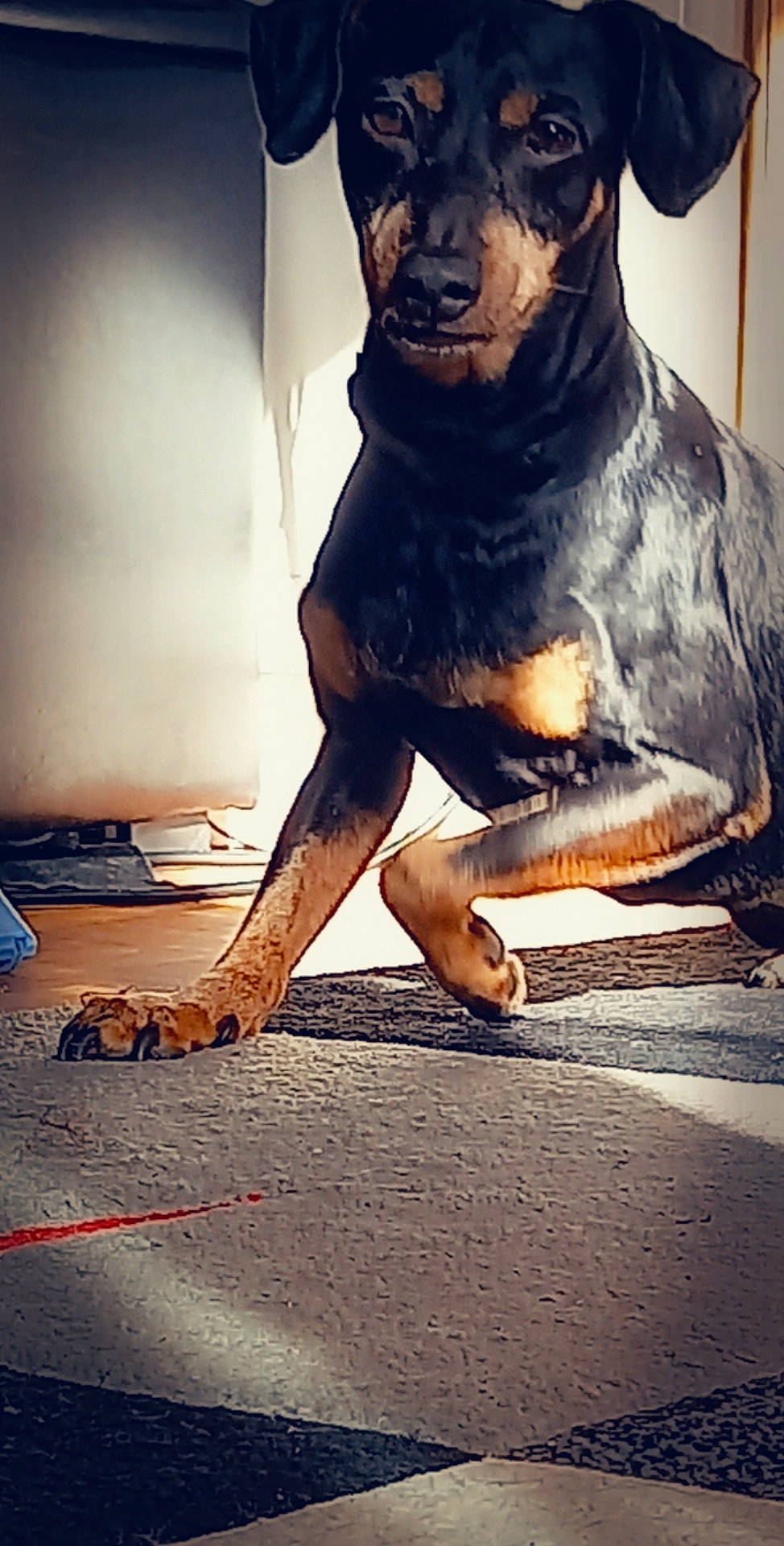 Gunzo participe au concours pour gagner de l'argent avec cette photo : art, big_cats, carnivore, companion_dog, dog, dog_breed, fawn, felidae, flash_photography, flooring, fur, human_leg, metal, sculpture, snout, sporting_group, terrestrial_animal, whiskers, wood, working_animal