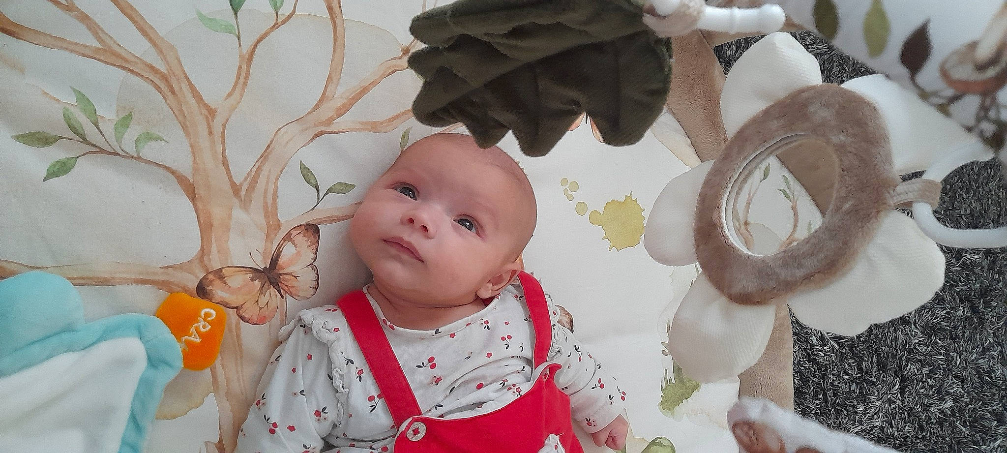 Ambre a rejoint le concours — aidez-le/la à gagner de superbes lots ! arthropod, baby, baby_toddler_clothing, butterfly, cheek, child, comfort, happy, head, headgear, iris, leaf, lip, pattern, person, pink, pollinator, skin, textile, toddler