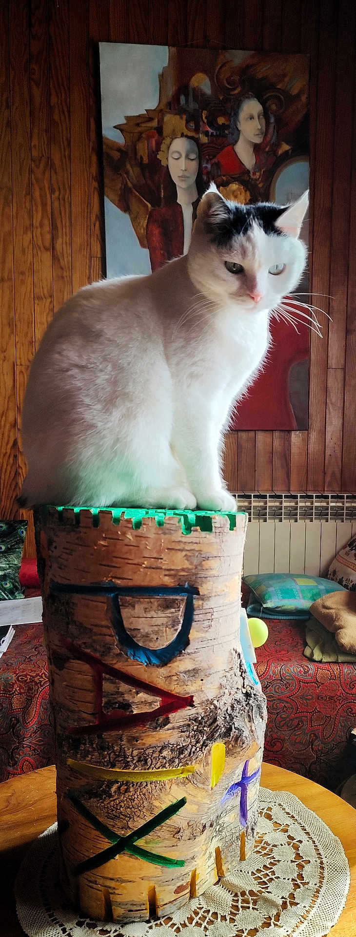 Minnie a rejoint le concours — aidez-le/la à gagner de superbes lots ! cat, white_cat, wooden_stump, carved_wood, painted_wood, indoor, wood_panel_wall, painting, artwork, furniture, cushion, table, crochet_doily, cozy, animal, pet, domestic_cat, sitting, portrait, room