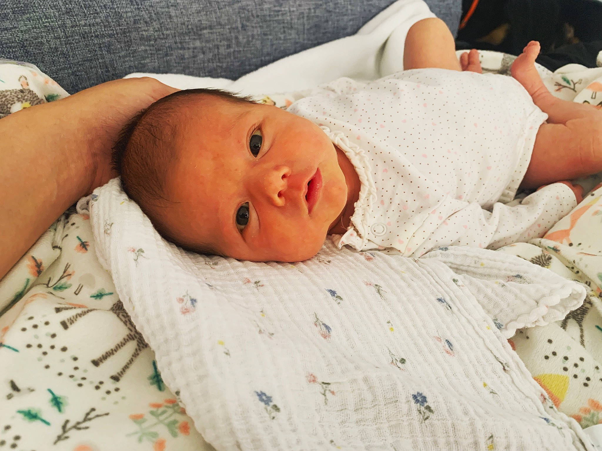 Amalia a rejoint le concours — aidez-le/la à gagner de superbes lots ! baby, baby_products, baby_safety, baby_sleeping, baby_toddler_clothing, bed_sheet, bedding, bedtime, child, comfort, eye, hospital, human_body, linens, nap, person, room, skin, sleep, textile