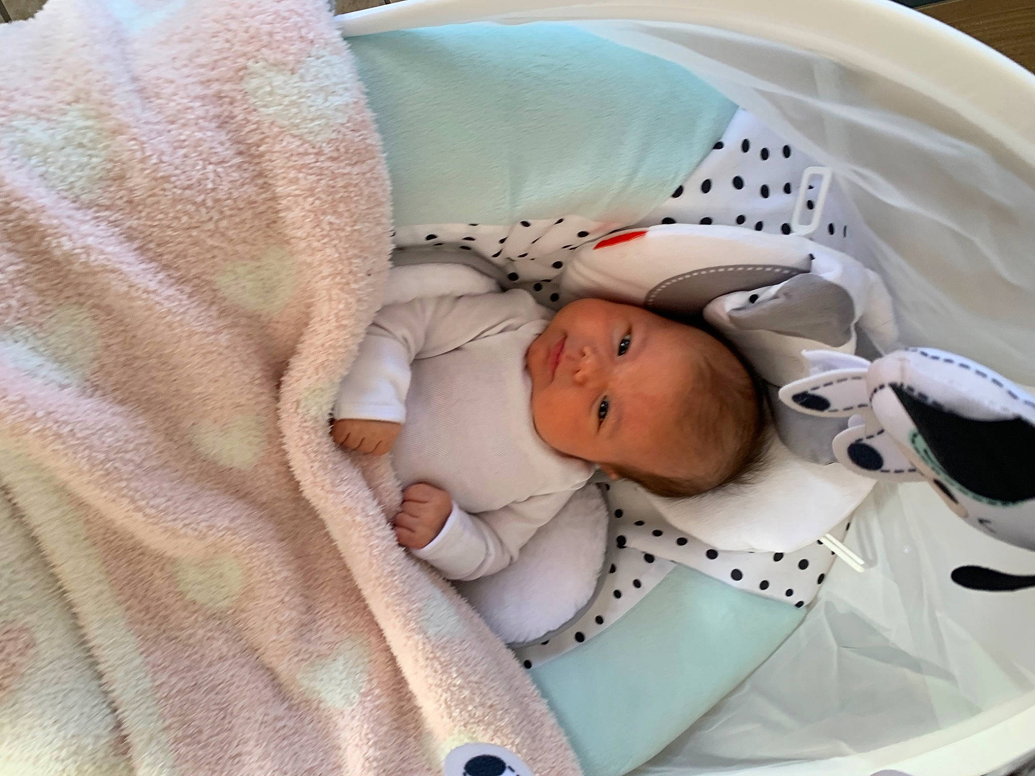 Amalia participe au concours pour gagner de l'argent avec cette photo : baby, baby_carriage, baby_products, baby_safety, baby_sleeping, baby_toddler_clothing, bedtime, child, comfort, hat, health_care, infant_bed, linens, nap, pattern, person, room, service, sleep, toddler