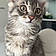 Milou
