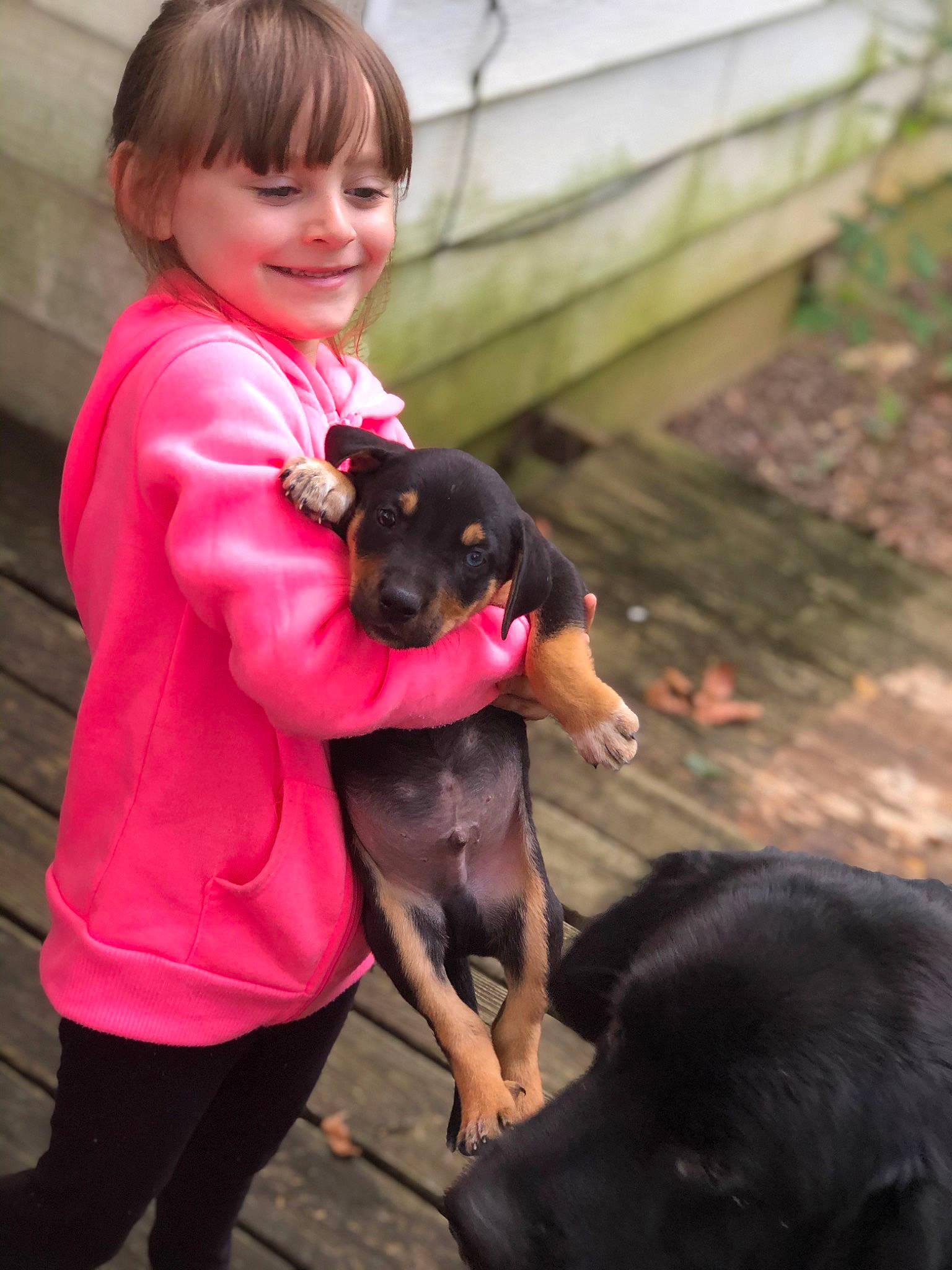 Charlie is registered to the contest to win money with this photo: boat, carnivore, child, companion_dog, dog, dog_breed, dog_collar, fawn, fun, guard_dog, happy, magenta, pink, plant, sitting, smile, snout, sporting_group, toddler, working_animal