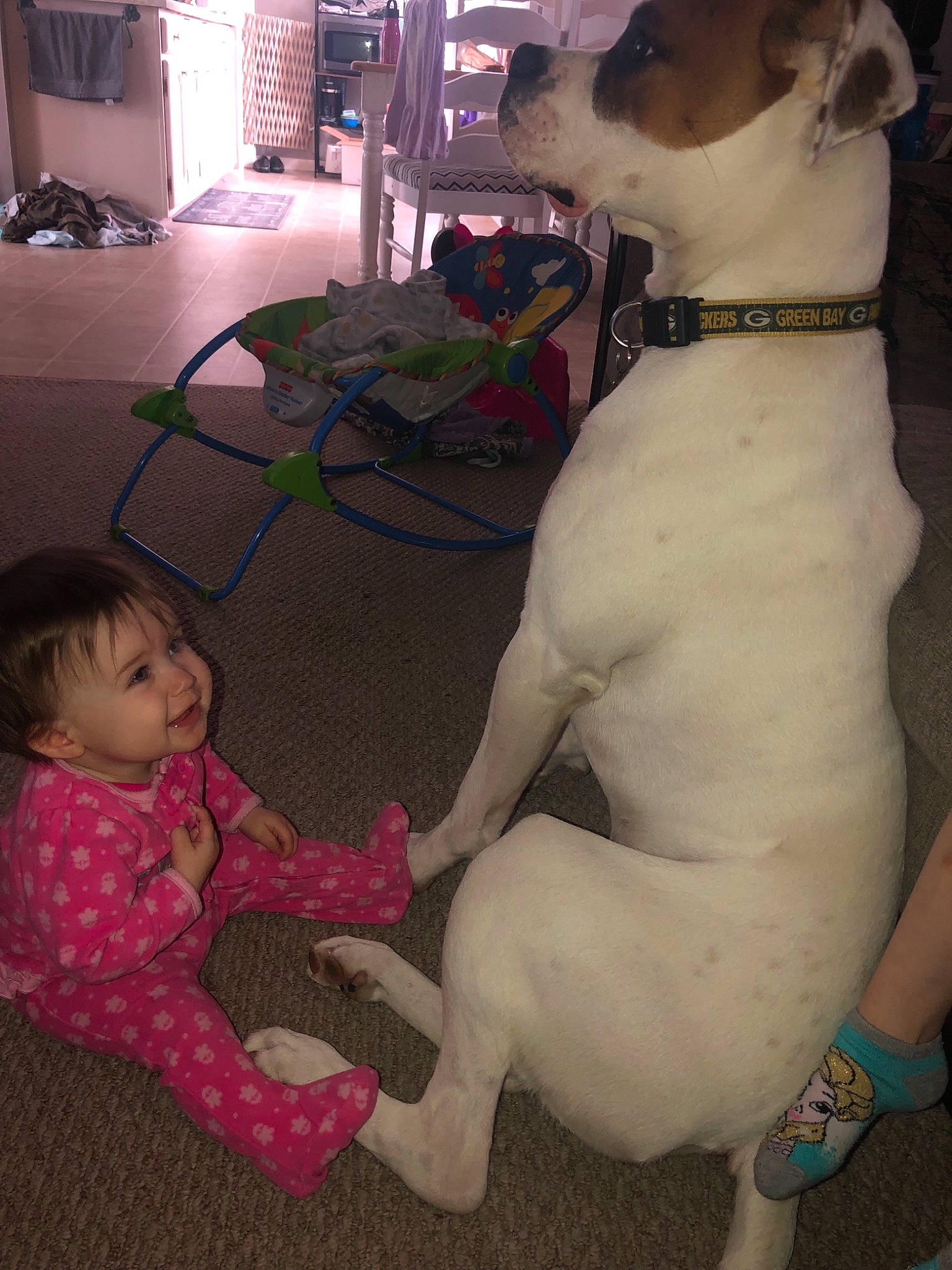 Scarlett joined the competition — help win amazing prizes! american_bulldog, canidae, carnivore, child, dog, dog_breed, dogo_guatemalteco, fawn, non_sporting_group, old_english_terrier, person, pit_bull, puppy_love, valley_bulldog