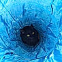cat, black_cat, yellow_eyes, blue_tunnel, fabric, pet, animal, indoor, curious, playful, texture, crinkled, fur, whiskers, closeup, looking_up, sitting, cute, domestic_animal, eye_contact