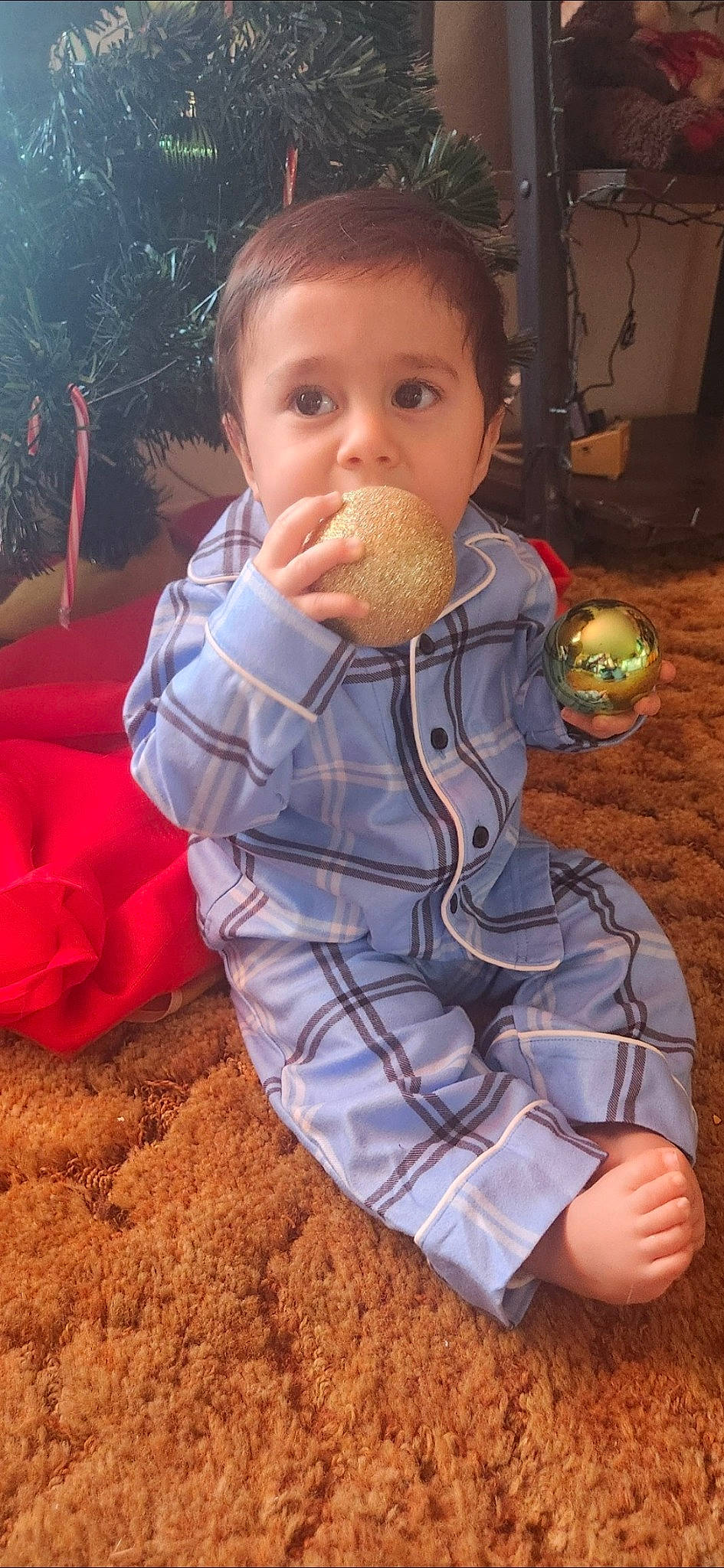 Enrique is registered to the contest to win money with this photo: baby, baby_toddler_clothing, cheek, child, face, fun, grass, happy, nose, pattern, people_in_nature, person, play, sitting, sleeve, soil, thumb, toddler, tree, vacation