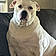 Rayna