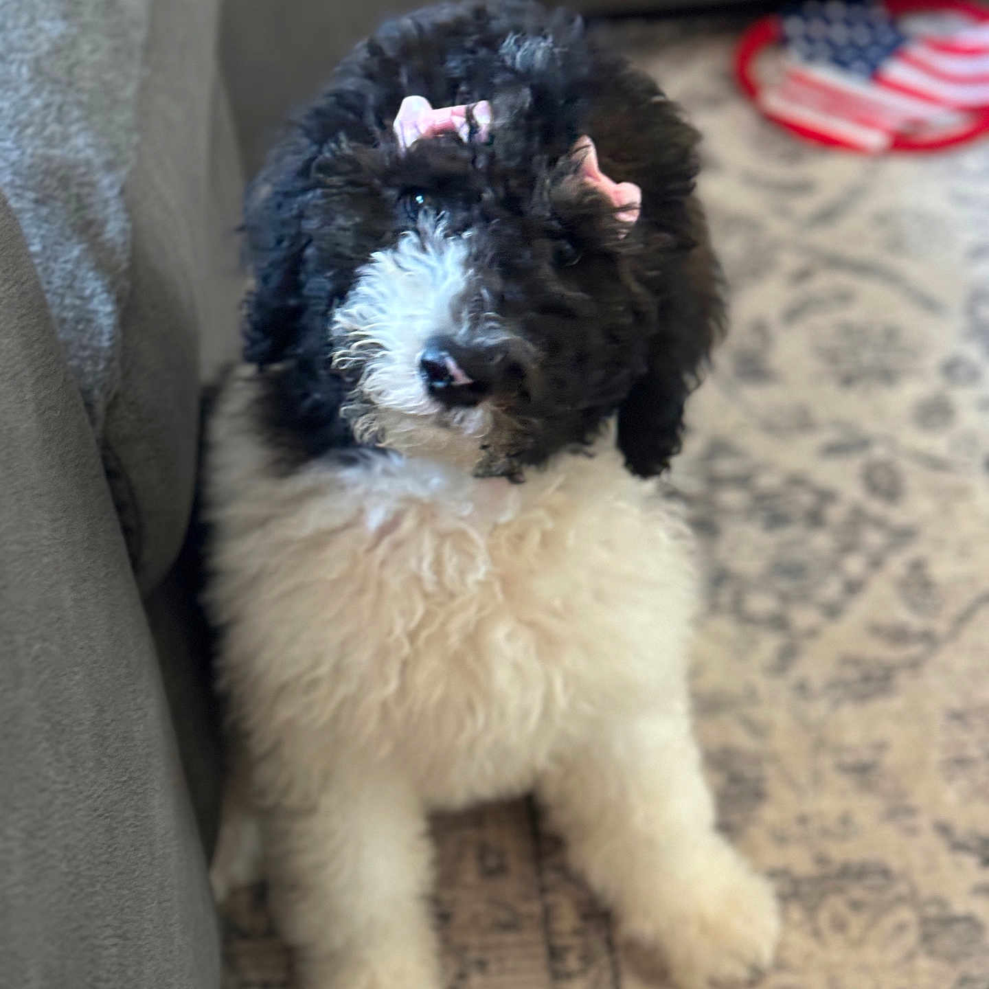 Mellie