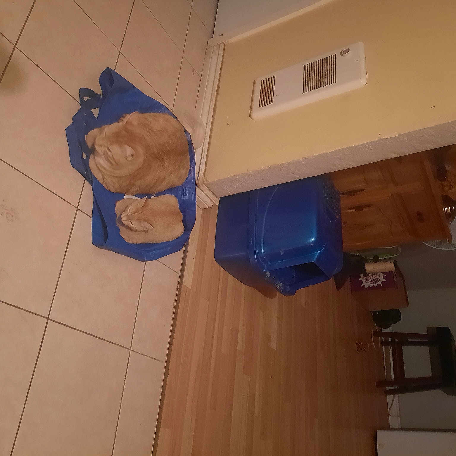 Picka is registered to the contest to win money with this photo: beige, carton, ceiling, electric_blue, electrical_wiring, floor, flooring, gas, hardwood, laminate_flooring, material_property, paper_product, plywood, room, shipping_box, space, tile_flooring, wall, wood, wood_stain