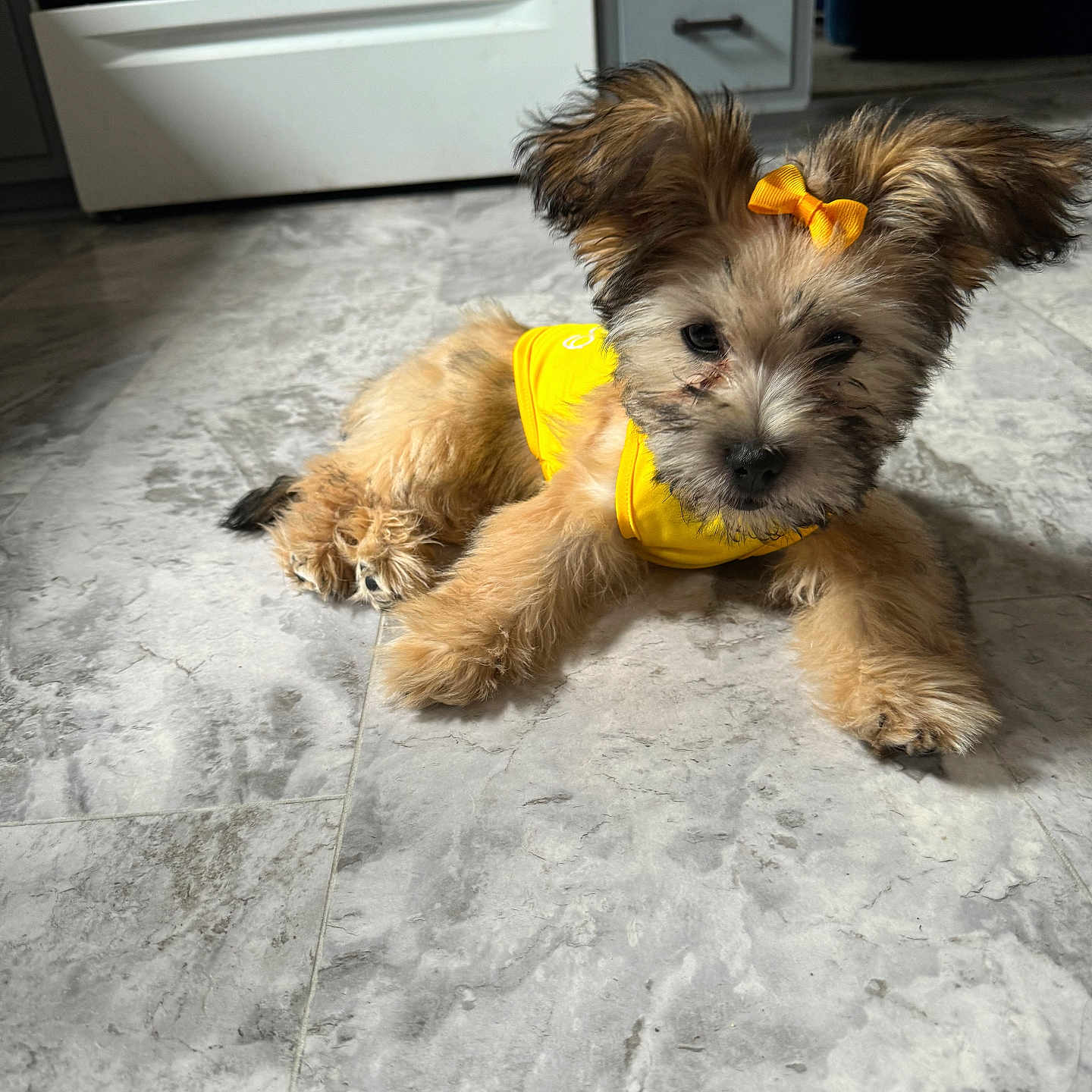 Cali