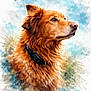 Princesse Louloute participe au concours pour gagner de l'argent avec cette photo : animal, art, artistic, background_splash, brown_fur, canine, collar, colorful, creative, dog, expression, fluffy, fur_texture, outdoor_colors, painting_style, pet, portrait, profile, side_view, watercolor
