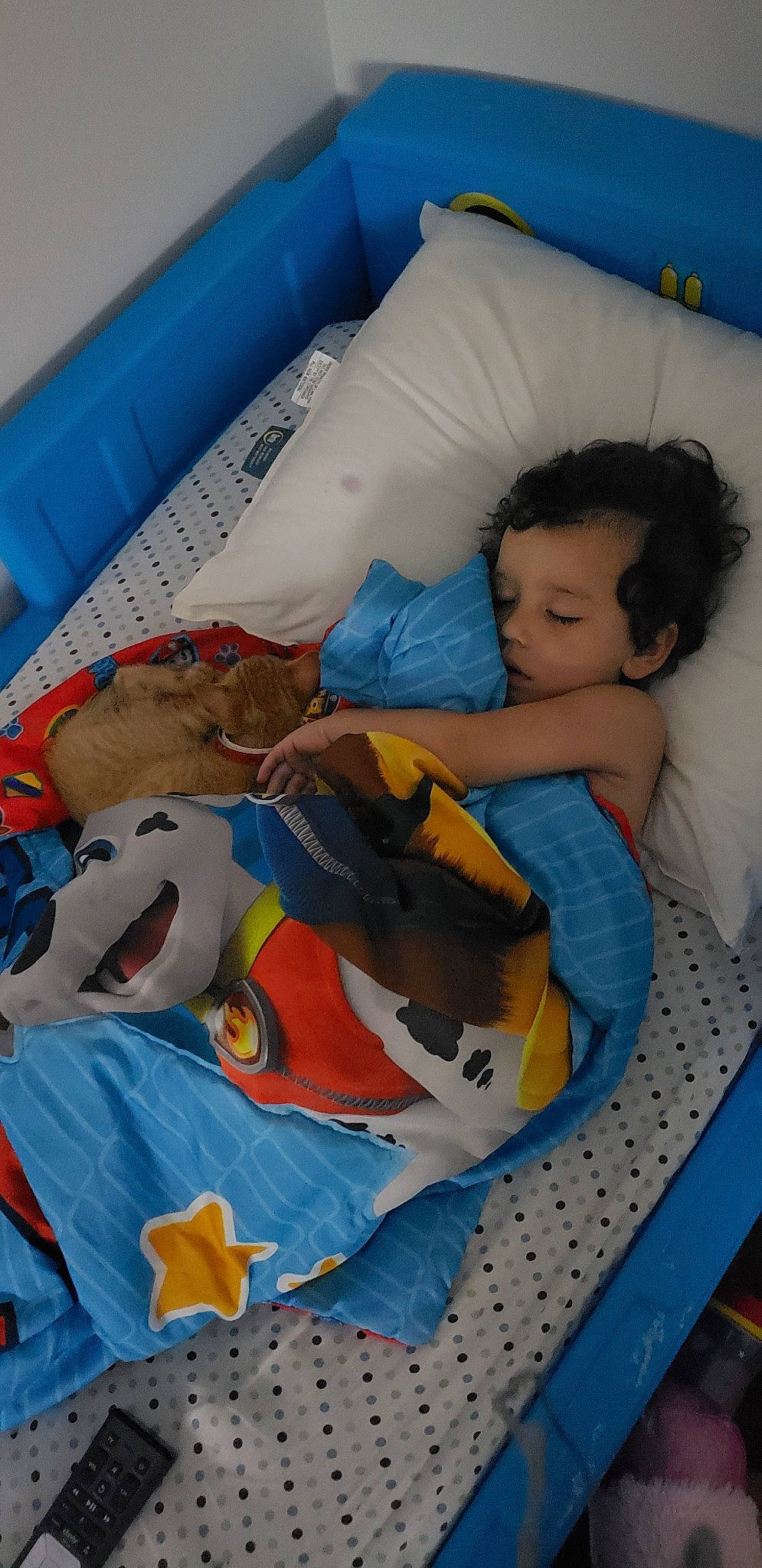 Caleb joined the competition — help win amazing prizes! bedtime, child, nap, person, sleep, textile