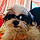 Brunu