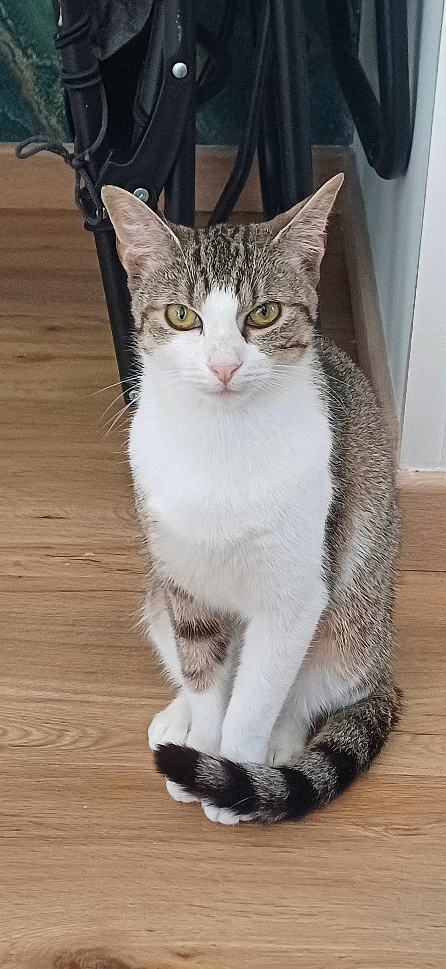 Vaïka