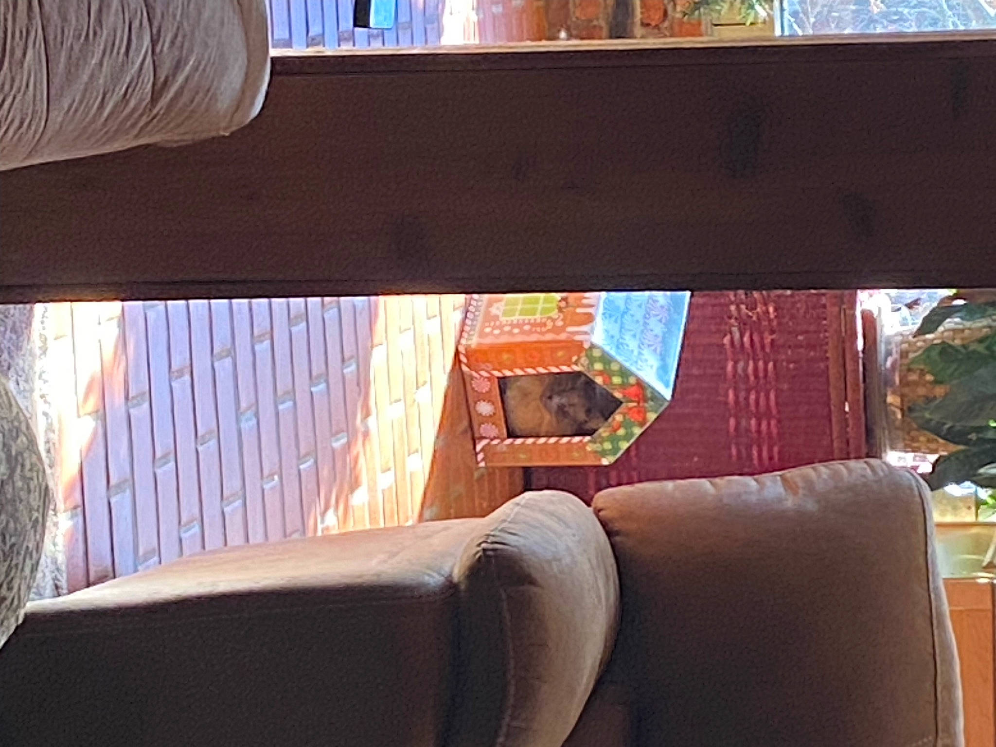 Peep joined the competition — help win amazing prizes! auto_part, automotive_exterior, building, comfort, glass, hardwood, house, leisure, plant, room, shade, textile, tints_and_shades, tree, vehicle_door, window, window_treatment, windshield, wood, wood_stain