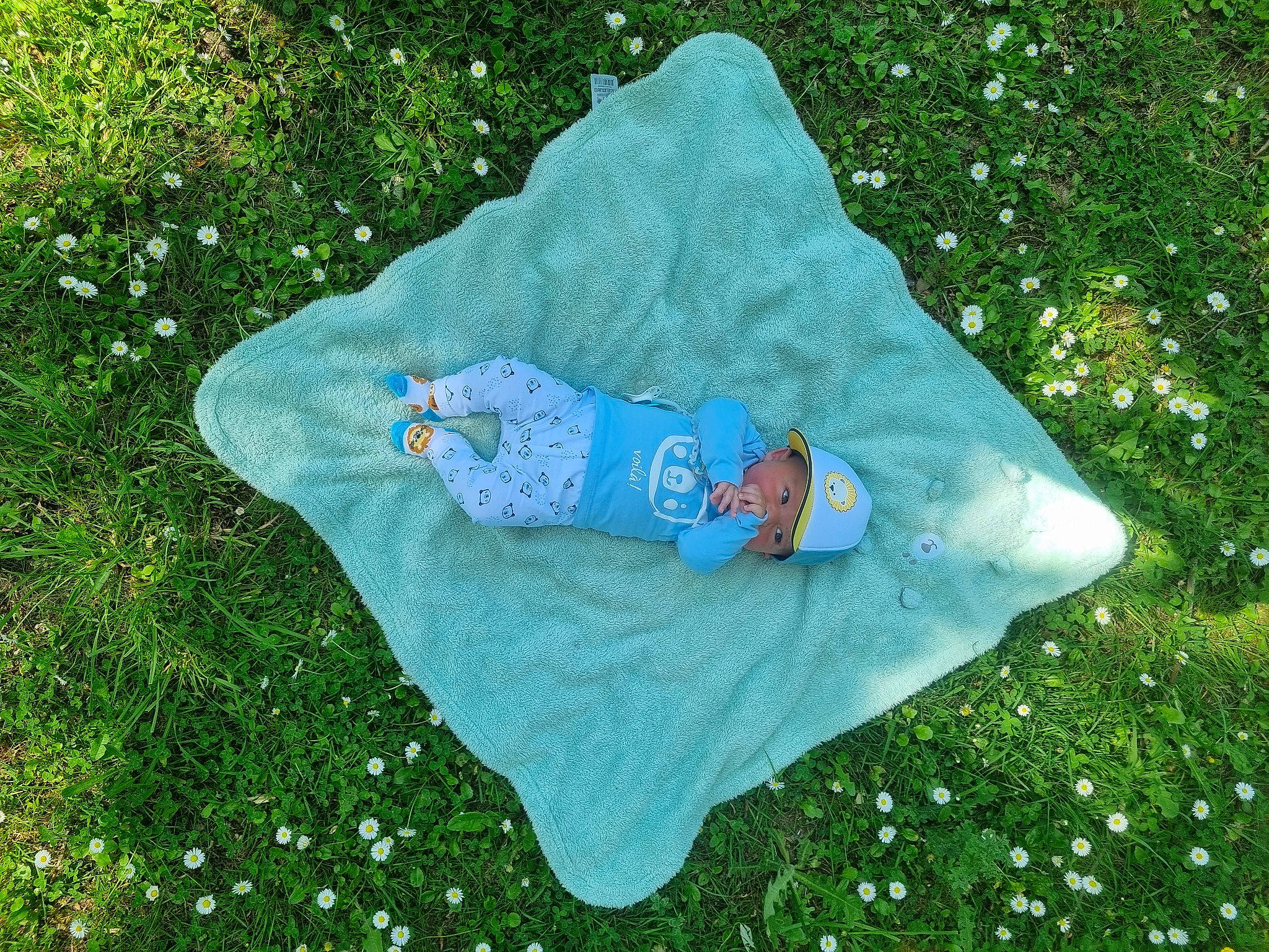 Ruben participe au concours pour gagner de l'argent avec cette photo : baby_products, comfort, electric_blue, grass, grass_family, grassland, green, groundcover, human_body, lawn, leaf, leisure, linens, meadow, people_in_nature, person, plant, recreation, sitting, tree