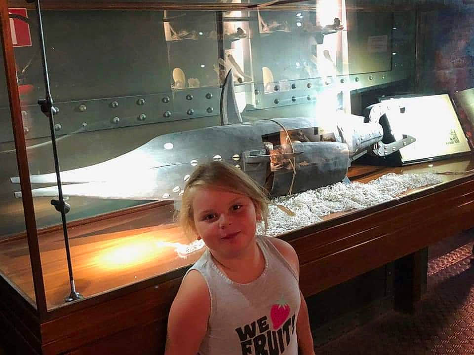 Shalyna a rejoint le concours — aidez-le/la à gagner de superbes lots ! active_tank, aerospace_engineering, aerospace_manufacturer, aircraft, airplane, aviation, display_case, glass, hangar, metal, military_aircraft, museum, person, sleeveless_shirt, steel, transparent_material