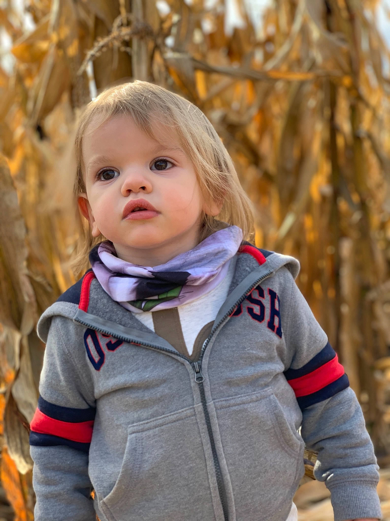 Brayson is registered to the contest to win money with this photo: autumn, blond, cheek, child, child_model, eye, face, fawn, head, leaf, outerwear, people, person, photography, plant, smile, toddler, tree, winter, wood