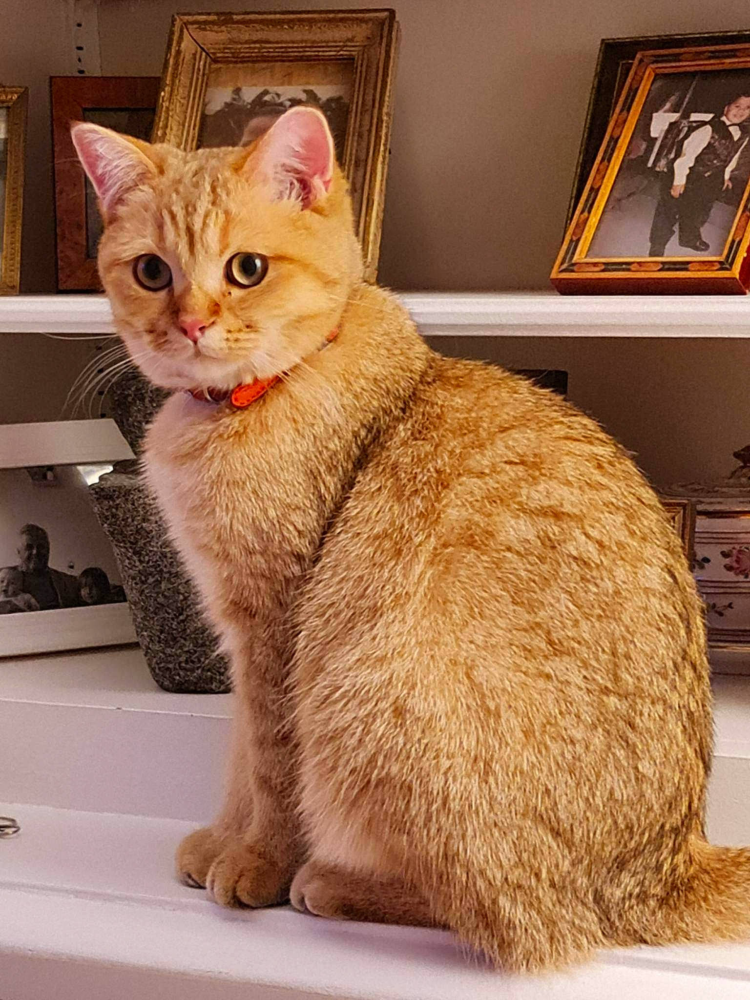 Teo