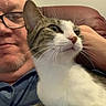 cat, man, glasses, indoor, chair, pet, tabby_cat, white_cat, relaxing, portrait, home, furniture, smiling, closeup, face, whiskers, fur, couch, casual, comfort