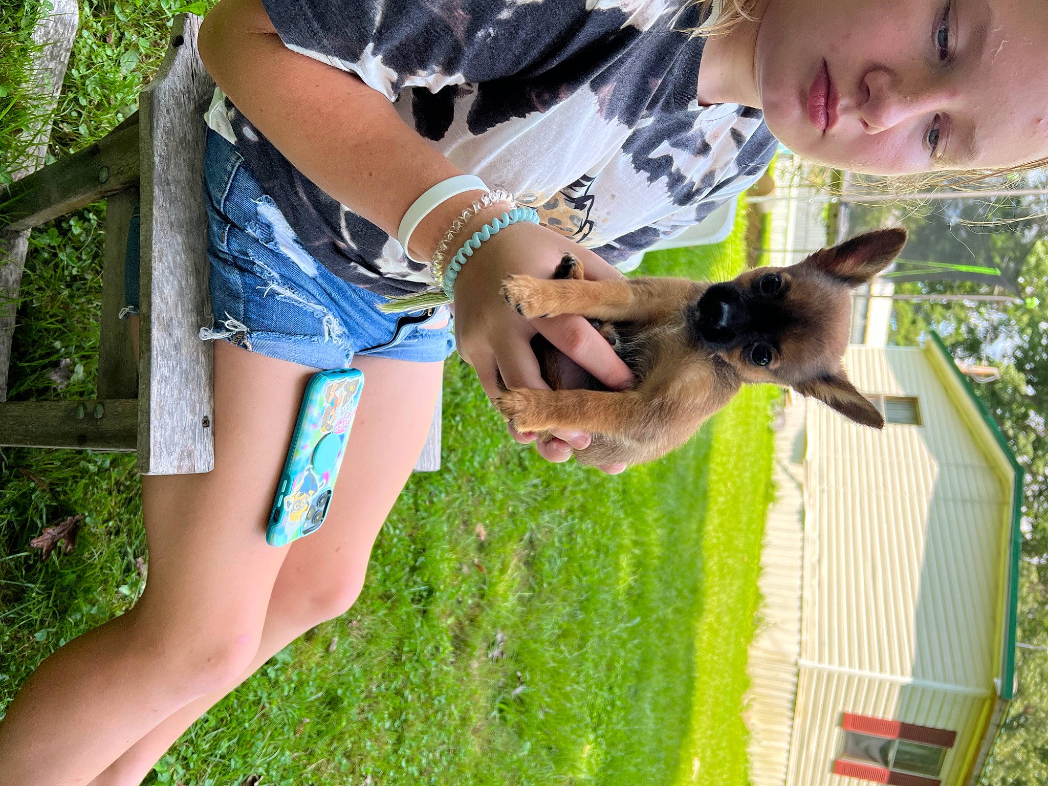 Destiny joined the competition — help win amazing prizes! carnivore, companion_dog, dog, dog_breed, electric_blue, fawn, fun, gesture, grass, green, hand, happy, lawn, leisure, mammal, people_in_nature, plant, summer, tree, vertebrate