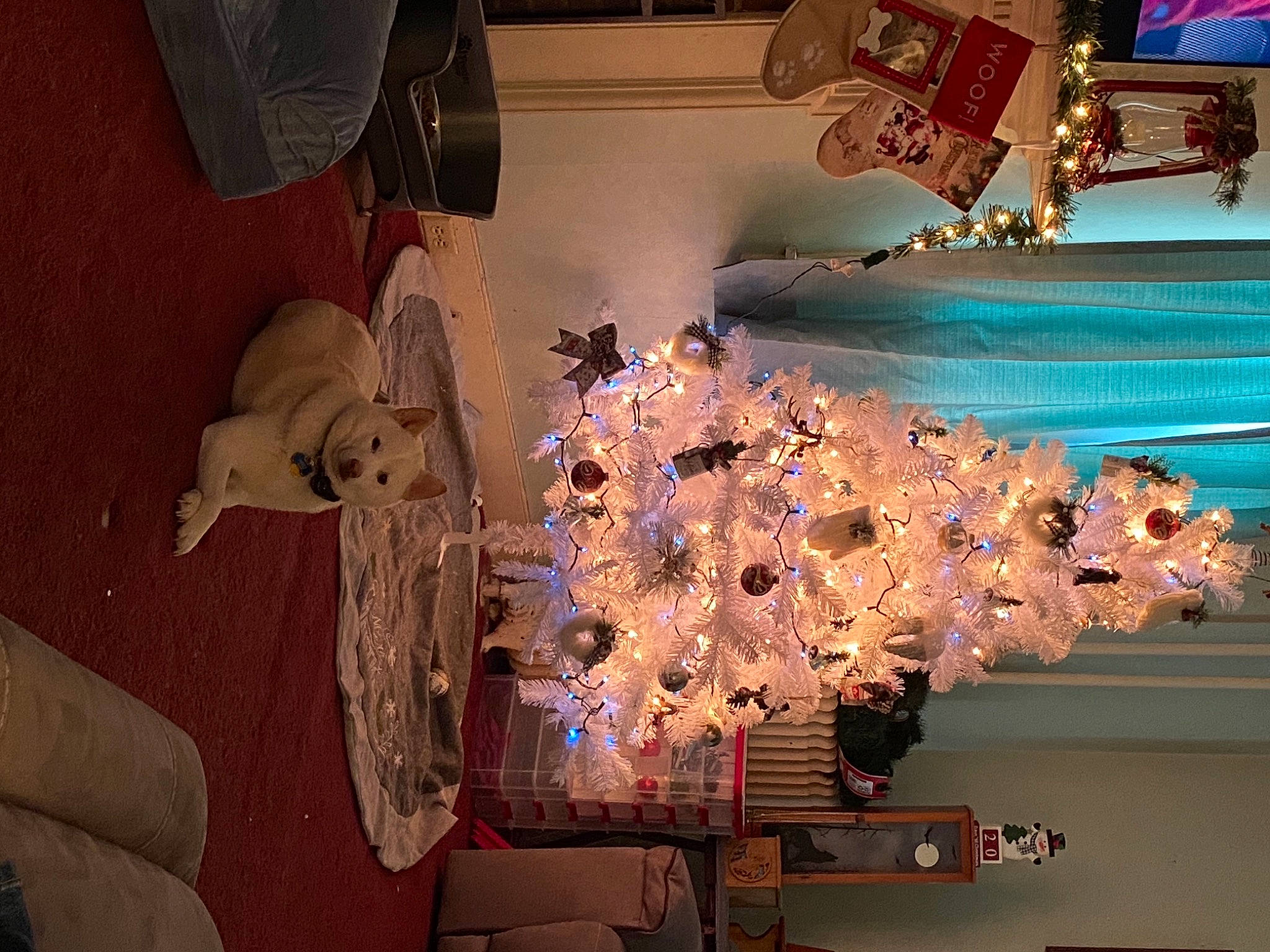 Niko joined the competition — help win amazing prizes! chandelier, christmas, christmas_decoration, christmas_ornament, christmas_tree, decoration, holiday, holiday_ornament, home_accessories, interior_design, light_fixture, lighting_accessory, living_room, ornament, room, sporting_group