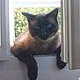 Titi participe au concours pour gagner de l'argent avec cette photo :