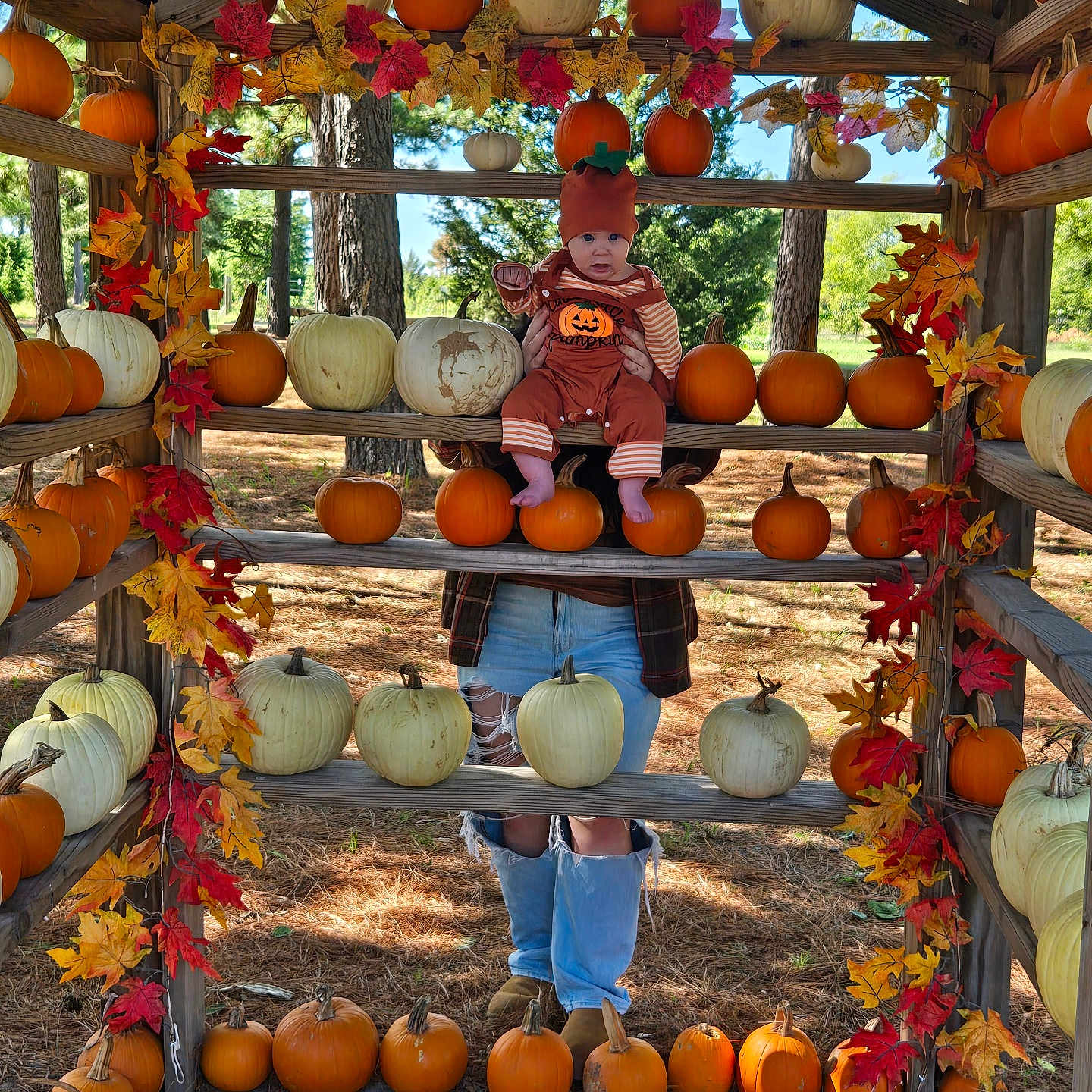 Talon is registered to the contest to win money with this photo: baby, child, infant, pumpkin, autumn, fall, harvest, outdoor, farm, orchard, rustic, wooden_frame, leaves, orange, costume, hat, sitting, adult, nature, portrait