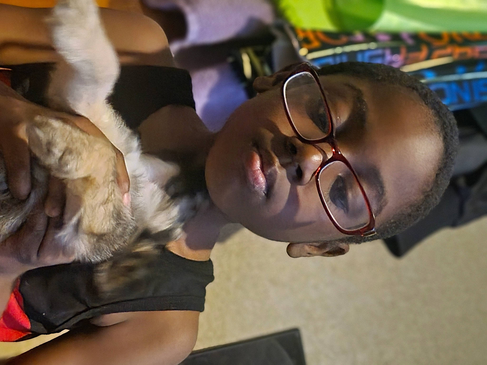 Jerry joined the competition — help win amazing prizes! audio_equipment, carnivore, child, companion_dog, dog_breed, eyewear, fashion_accessory, felidae, fun, fur, fur_clothing, glasses, happy, jewellery, person, personal_protective_equipment, tail, tree, vision_care