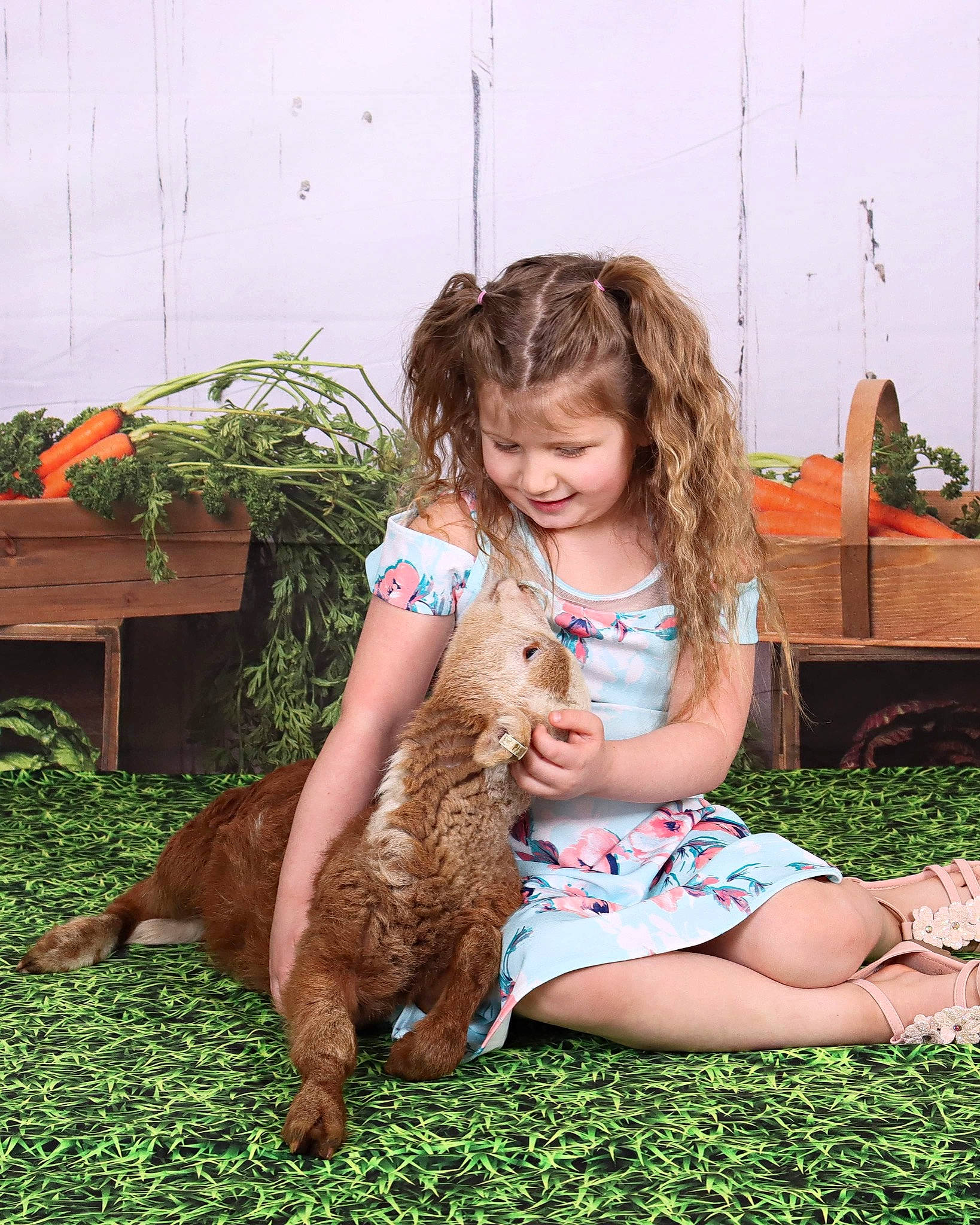 Trinity joined the competition — help win amazing prizes! adaptation, carnivore, companion_dog, fawn, felidae, fun, grass, grass_family, hair, happy, human_leg, joy, lap, lawn, leg, mammal, people_in_nature, person, smile, summer