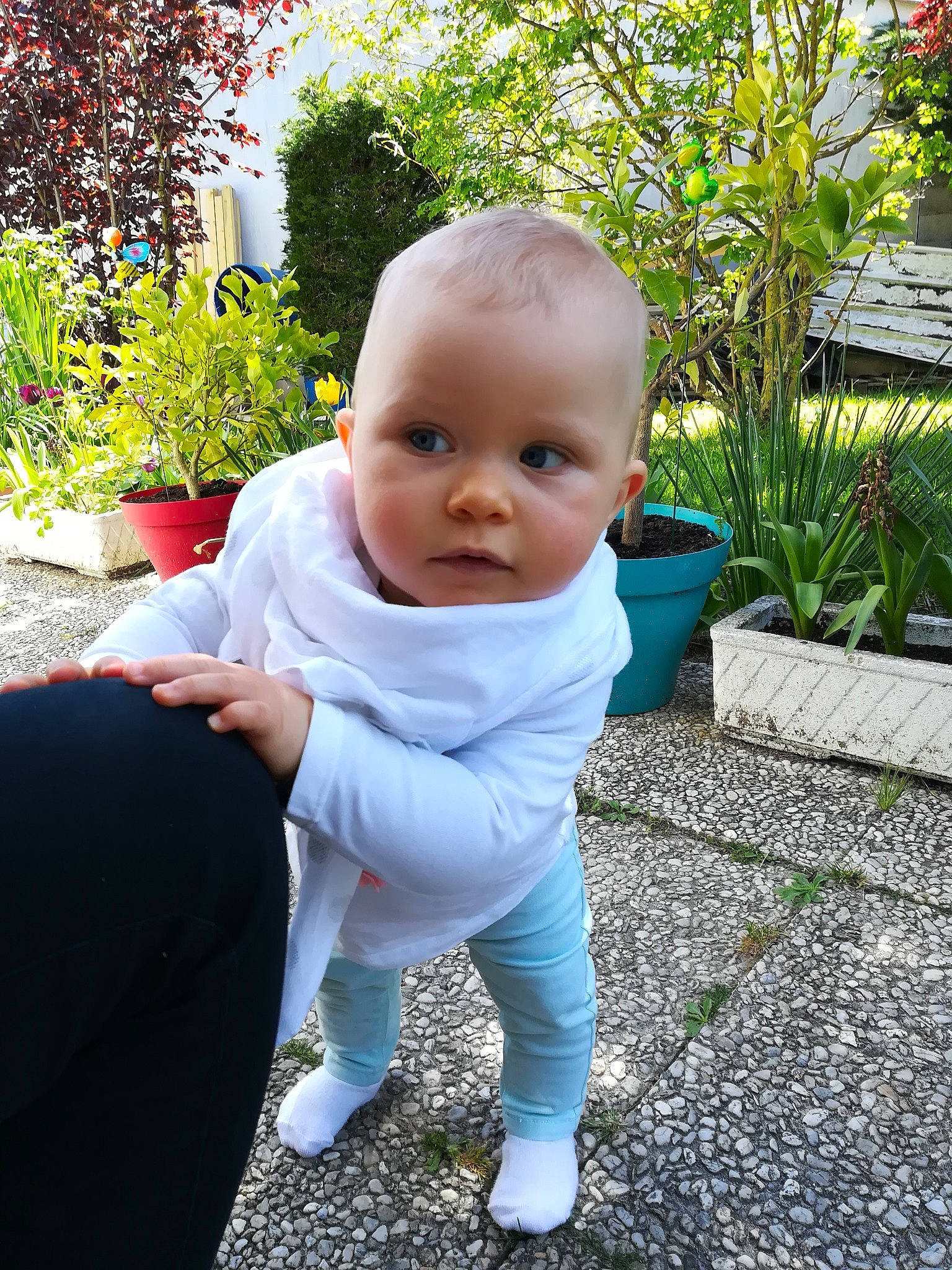 Adèle a rejoint le concours — aidez-le/la à gagner de superbes lots ! baby, botany, child, garden, grass, leaf, person, plant, smile, toddler, yard