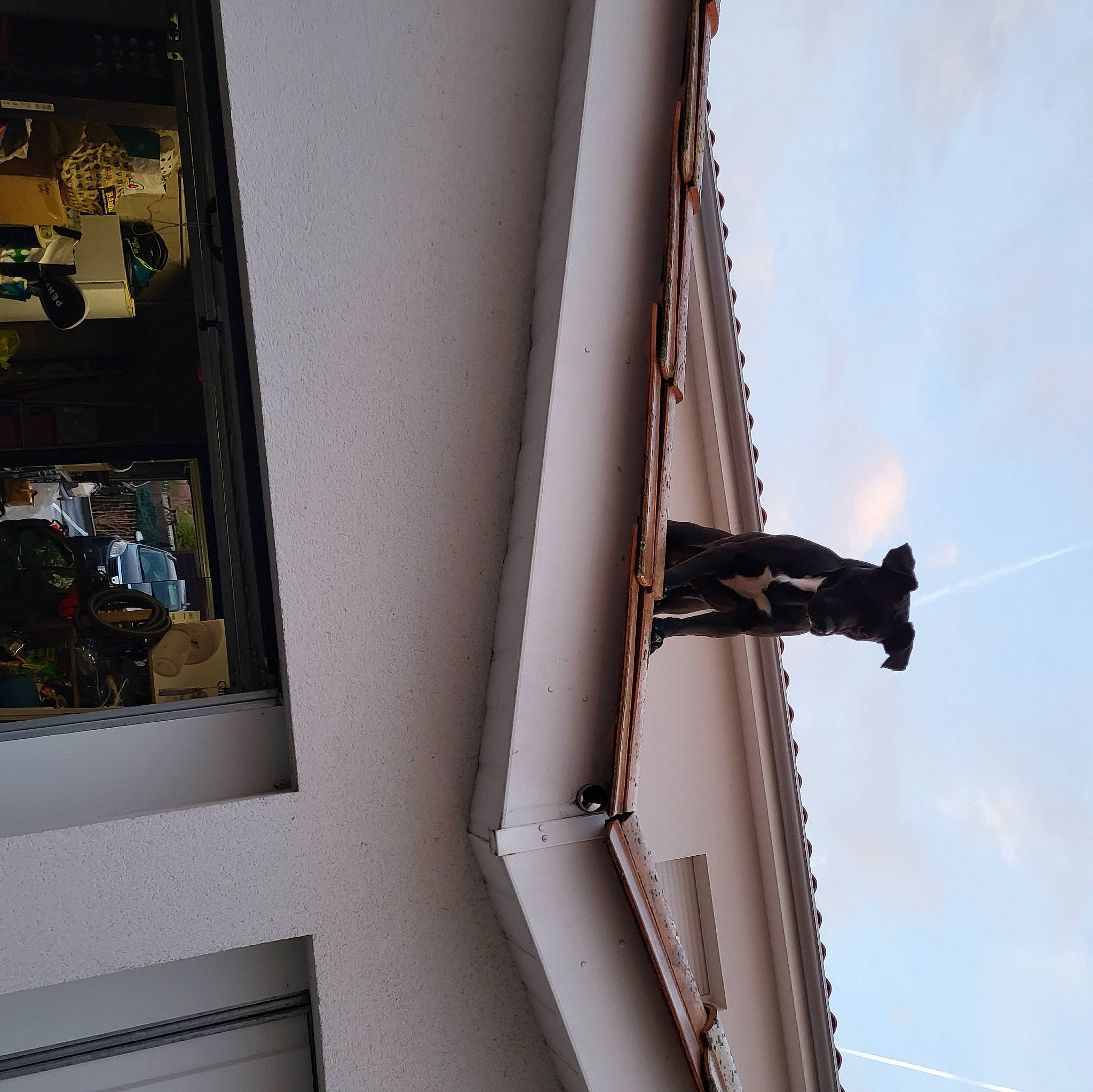 Lilo participe au concours pour gagner de l'argent avec cette photo : art, automotive_exterior, building, city, cloud, daylighting, facade, glass, house, metal, plant, room, shadow, sky, street_light, tints_and_shades, vehicle_door, wing, wood