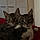 Cleo And Chloe.