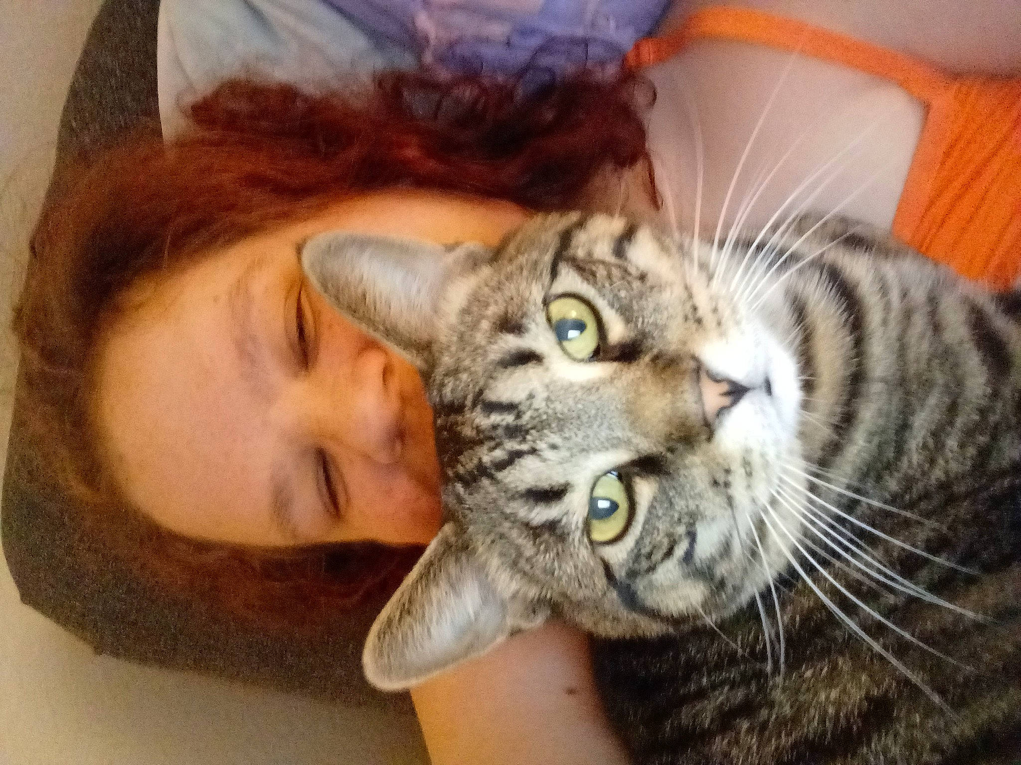 Shane is registered to the contest to win money with this photo: beard, carnivore, cat, claw, comfort, domestic_short_haired_cat, ear, eye, felidae, fur, happy, nail, nose, plant, selfie, small_to_medium_sized_cats, snout, whiskers