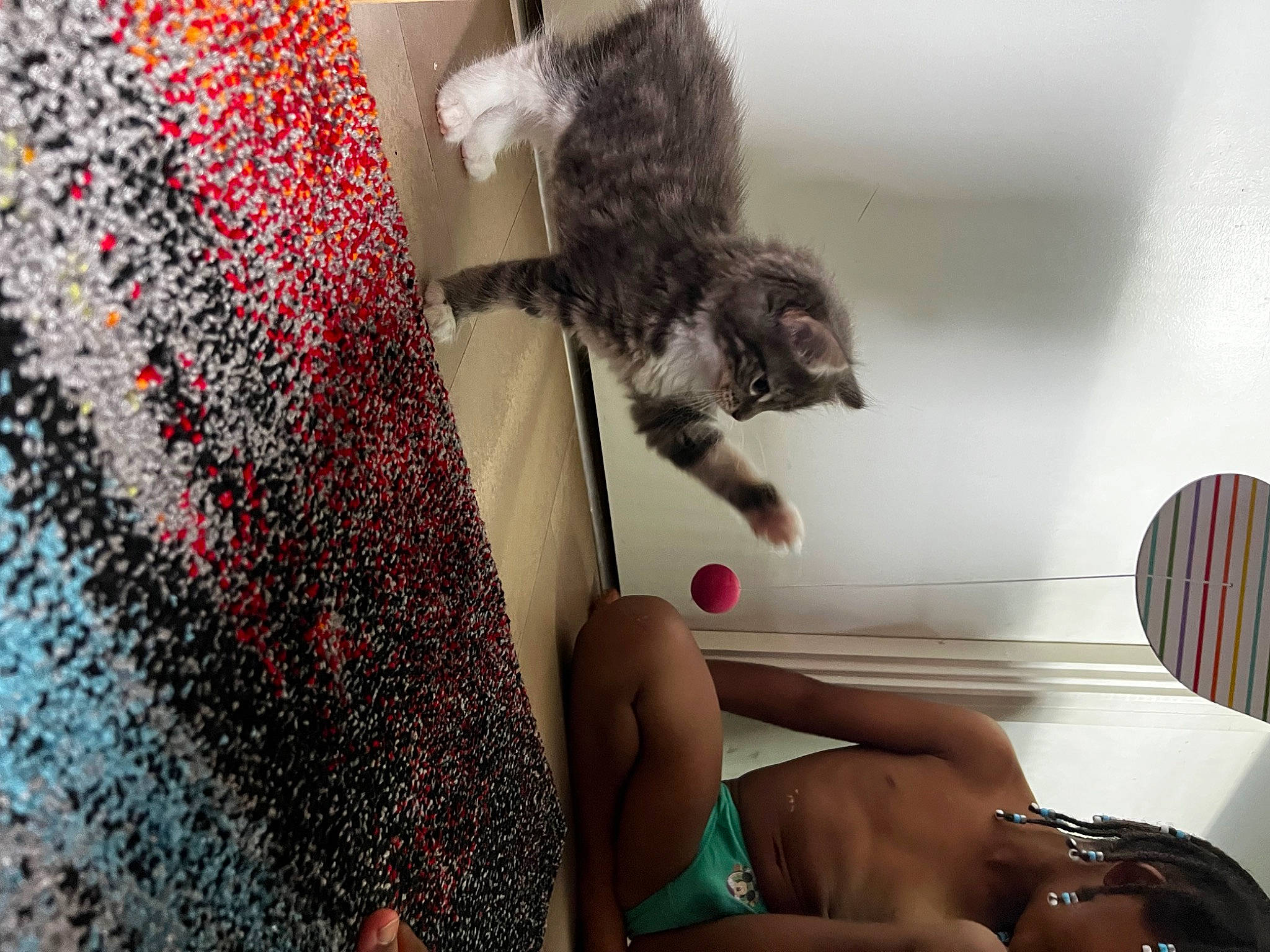 Luna is registered to the contest to win money with this photo: barefoot, carmine, chair, comfort, elbow, felidae, foot, fur, gesture, headgear, human_leg, knee, nail, pattern, room, small_to_medium_sized_cats, thigh, whiskers, wool, woolen