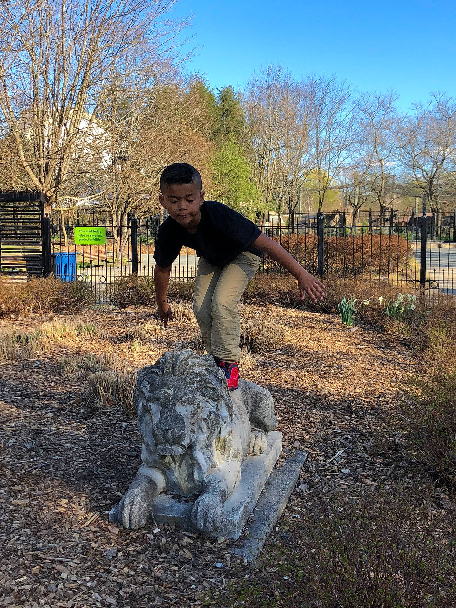 Dj is registered to the contest to win money with this photo: autumn, branch, fun, garden, grass, landscape, leisure, people_in_nature, person, plant, sculpture, shrub, sitting, sky, soil, tree, trunk, wilderness, winter, wood