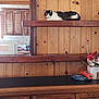 animal, cabinet, cat, counter, cozy, domestic, furniture, home, household_items, indoor, kitchen, light, mammal, pet, quiet, relaxed, resting, window, wood_paneling, wooden_shelf