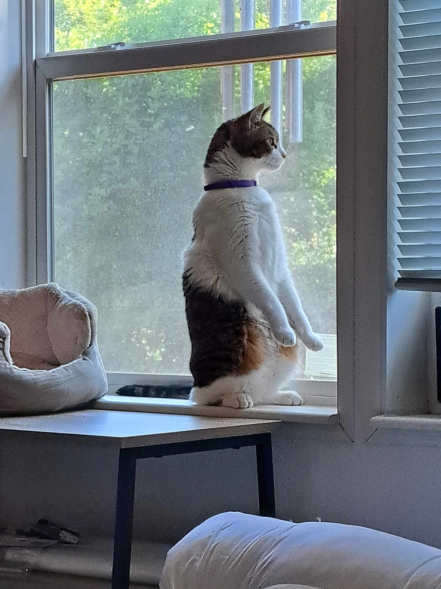 Charlie