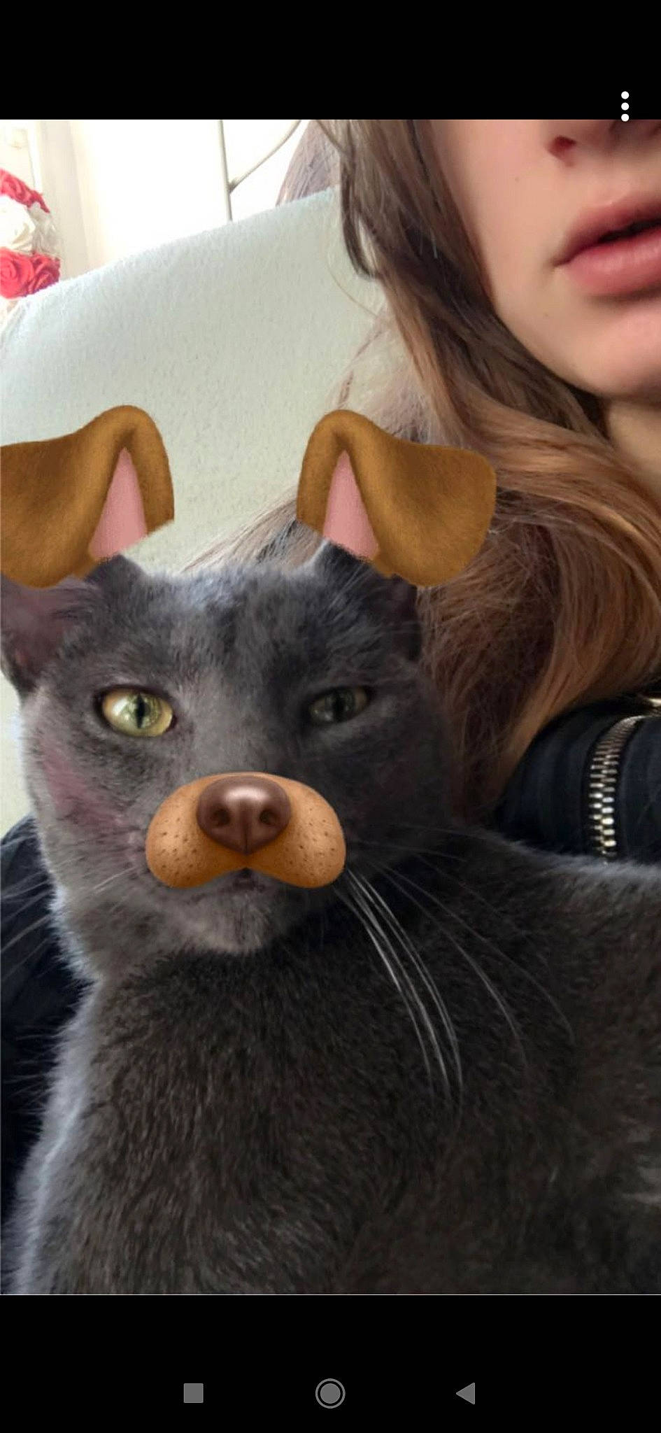 Mylan participe au concours pour gagner de l'argent avec cette photo : carnivore, cat, dog_breed, domestic_short_haired_cat, ear, eyelash, eyewear, fawn, felidae, fur, gesture, iris, lip, mammal, nose, small_to_medium_sized_cats, snout, terrestrial_animal, whiskers, working_animal