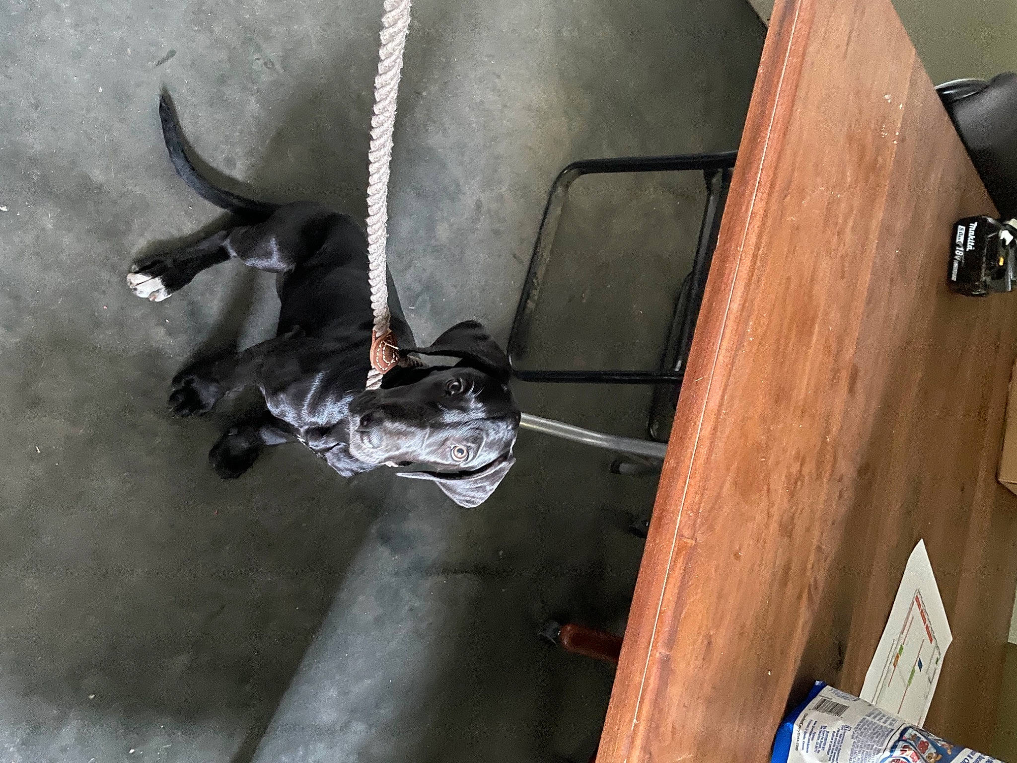 Shalome joined the competition — help win amazing prizes! art, auto_part, automotive_design, automotive_exterior, automotive_lighting, automotive_tire, automotive_wheel_system, automotive_window_part, bumper, door, fender, gas, hardwood, hood, metal, motor_vehicle, trunk, vehicle_door, windshield, wood