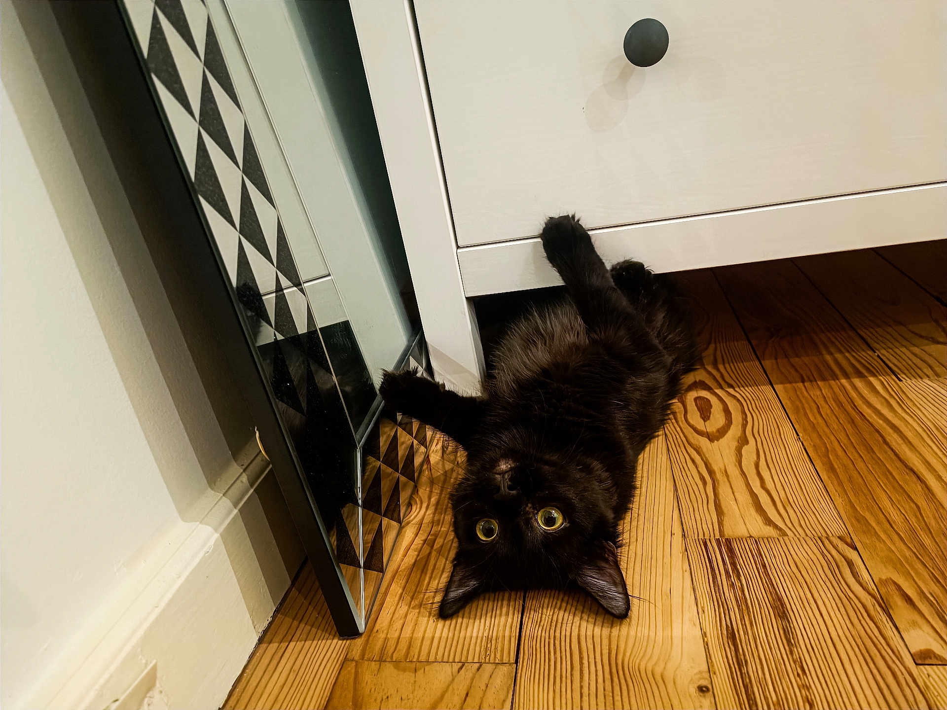 Momo participe au concours pour gagner de l'argent avec cette photo : black_cat, cat, pet, upside_down, wooden_floor, white_cabinet, mirror, reflection, indoor, curious, wide_eyes, furniture, flooring, playful, domestic, animal, household, cozy, resting, paw