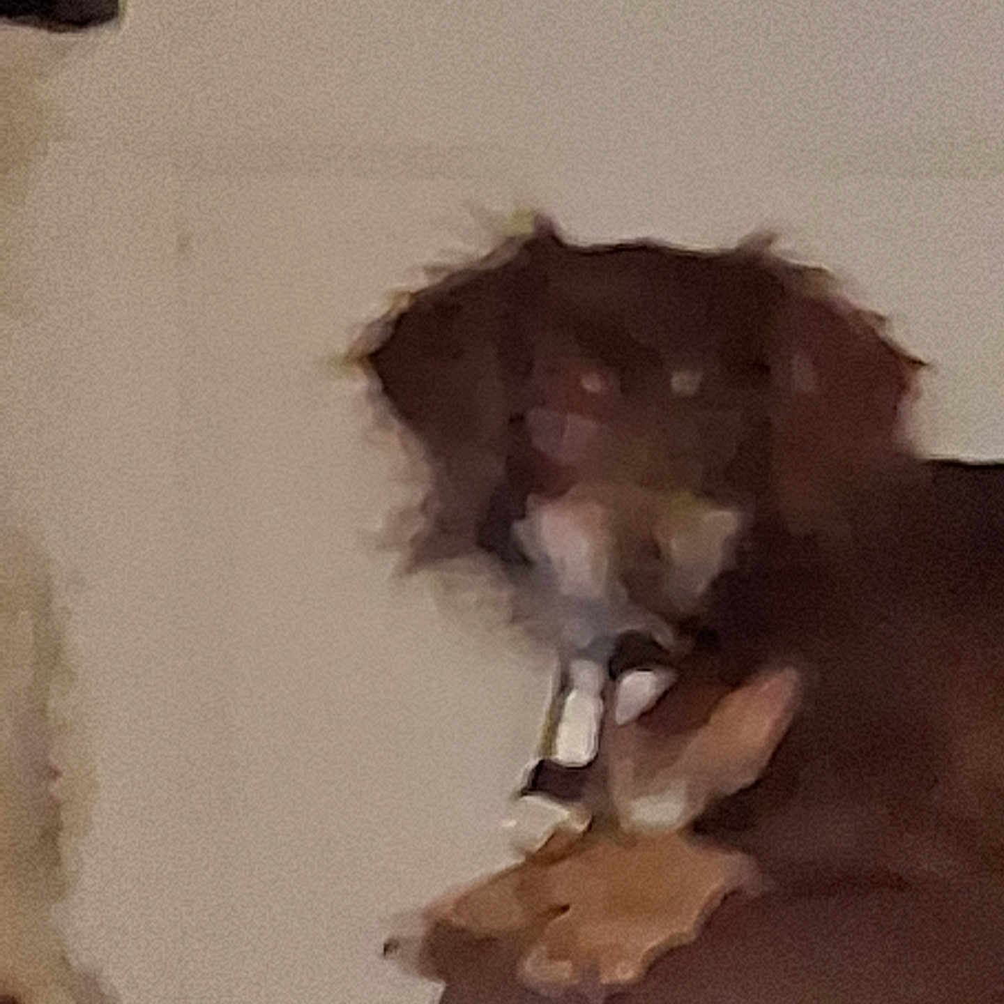 Ploto is registered to the contest to win money with this photo: animal, blurry, brown_dog, canine, collar, companion, couch, dog, domestic_animal, fur, furniture, household, indoor, indoor_lighting, paw, pet, pixelated, resting, seated, wall