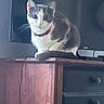 Lilly is registered to the contest to win money with this photo: