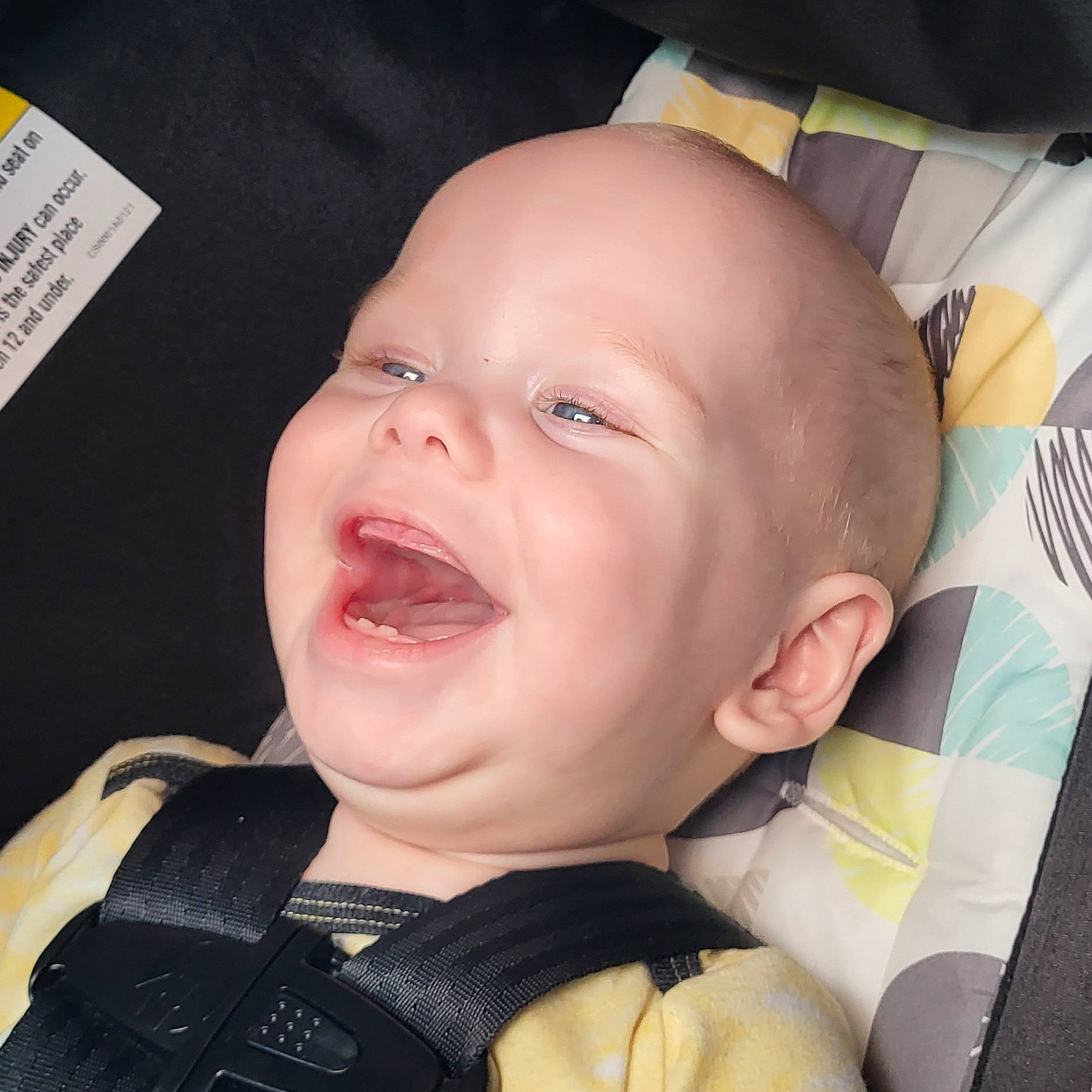 Spencer is registered to the contest to win money with this photo: baby, cheek, chin, ear, eye, eyebrow, forehead, gesture, happy, head, iris, jaw, lip, mouth, neck, nose, person, skin, sleeve, smile