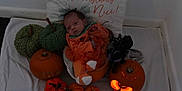 Isla-Rose is registered to the contest to win money with this photo: baby, infant, pumpkin, knitted_pumpkin, carved_pumpkin, orange_clothing, blanket, pillow, decor, halloween, autumn, soft_toy, lighting, face, person, costume, cozy, indoors, small_pumpkins, festive
