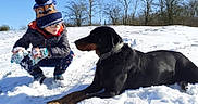 Orko participe au concours pour gagner de l'argent avec cette photo : child, dog, snow, winter_clothing, outdoor, blue_sky, trees, playing, cold_weather, hat, gloves, jacket, canine, pet, nature, animal, friendship, fun, daylight, park