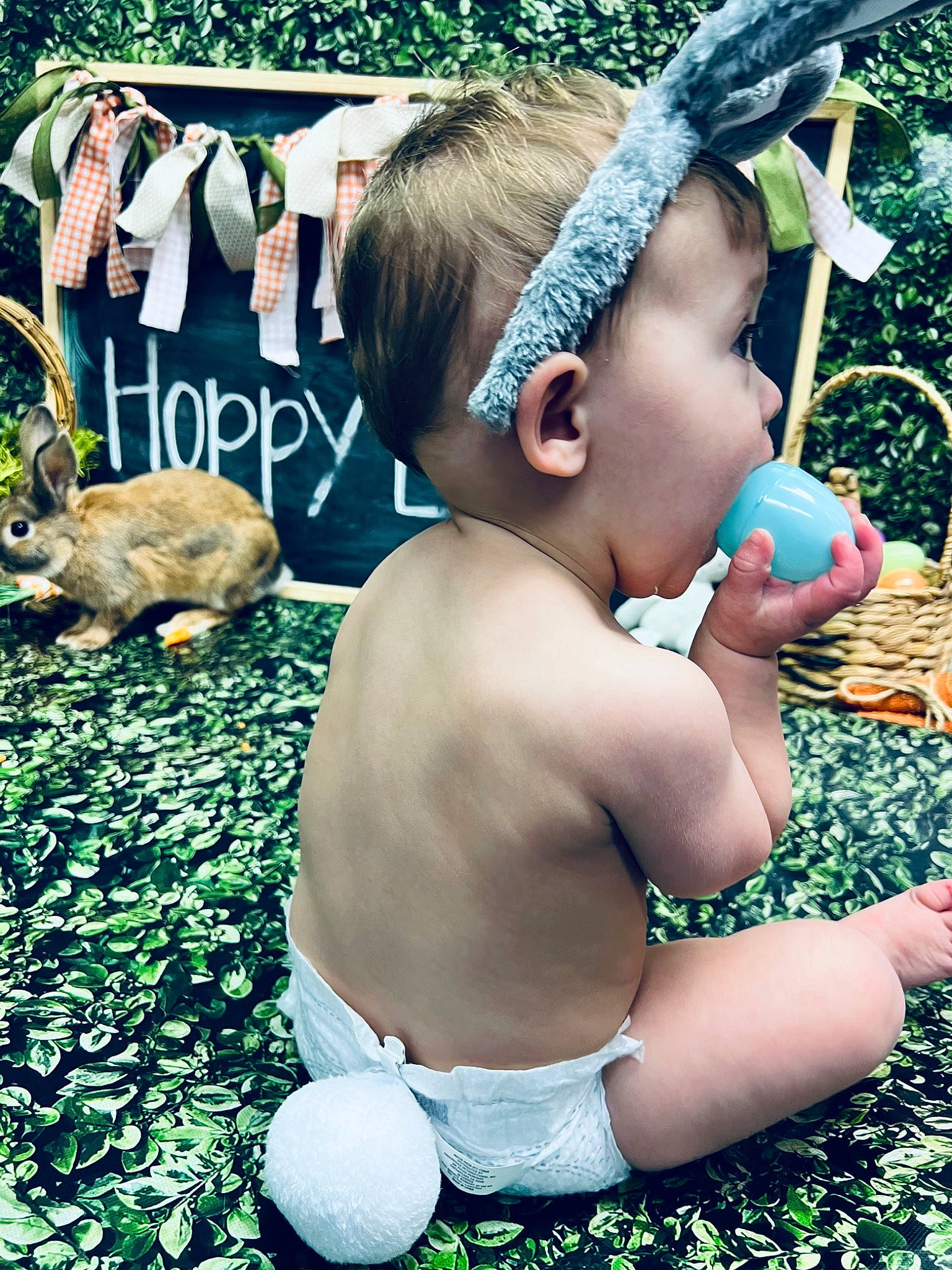 Lincoln joined the competition — help win amazing prizes! baby, baby_toddler_clothing, blue, child, eyewear, fashion_accessory, fun, grass, green, happy, headpiece, jewellery, leisure, people_in_nature, person, plant, play, spring, summer, toddler