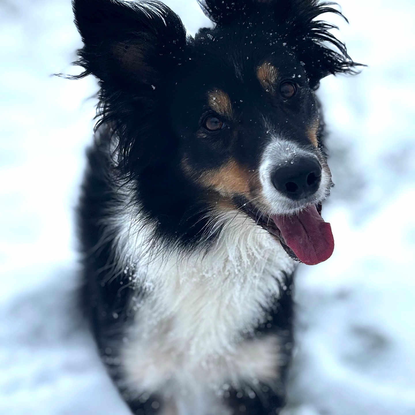 Oona