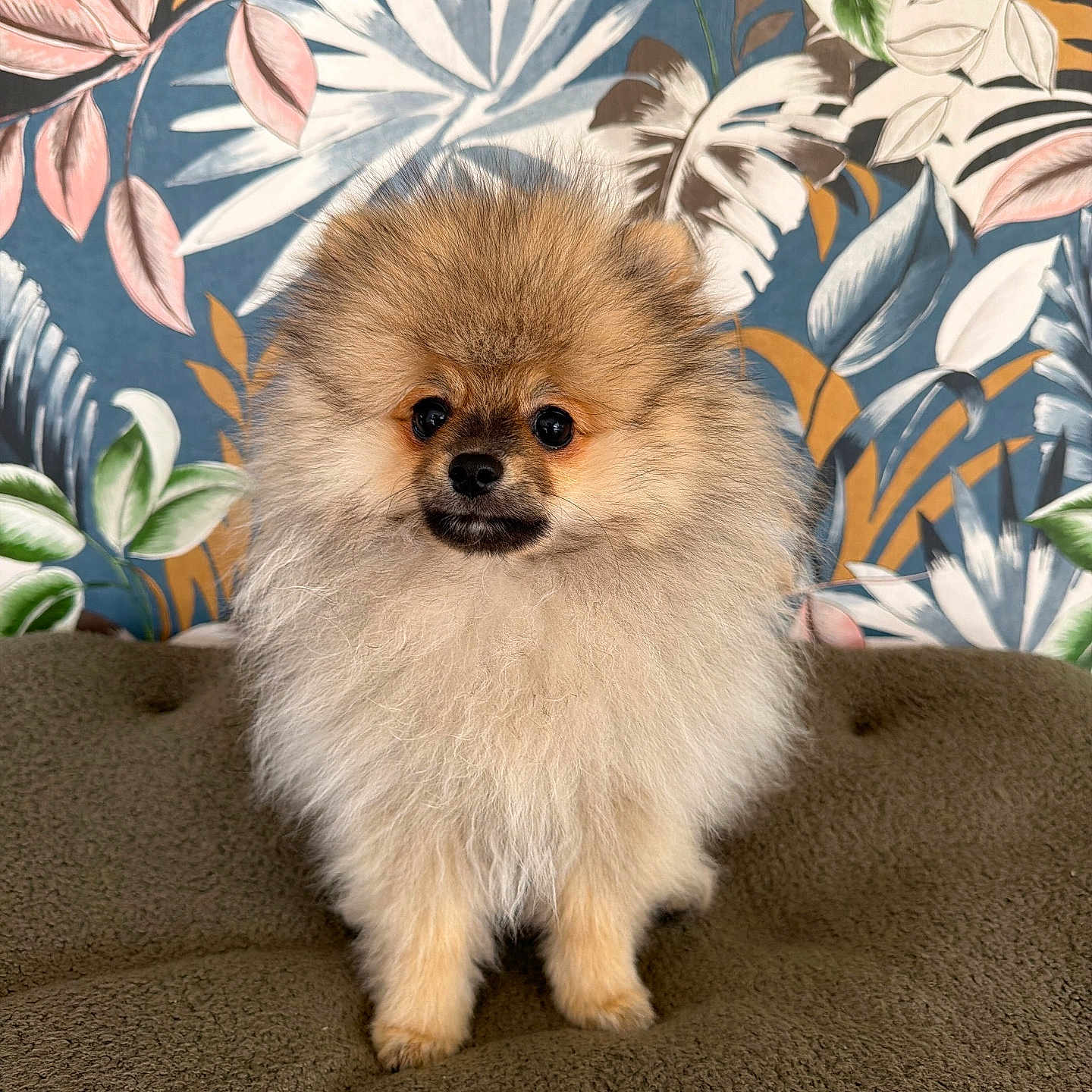 Bandit