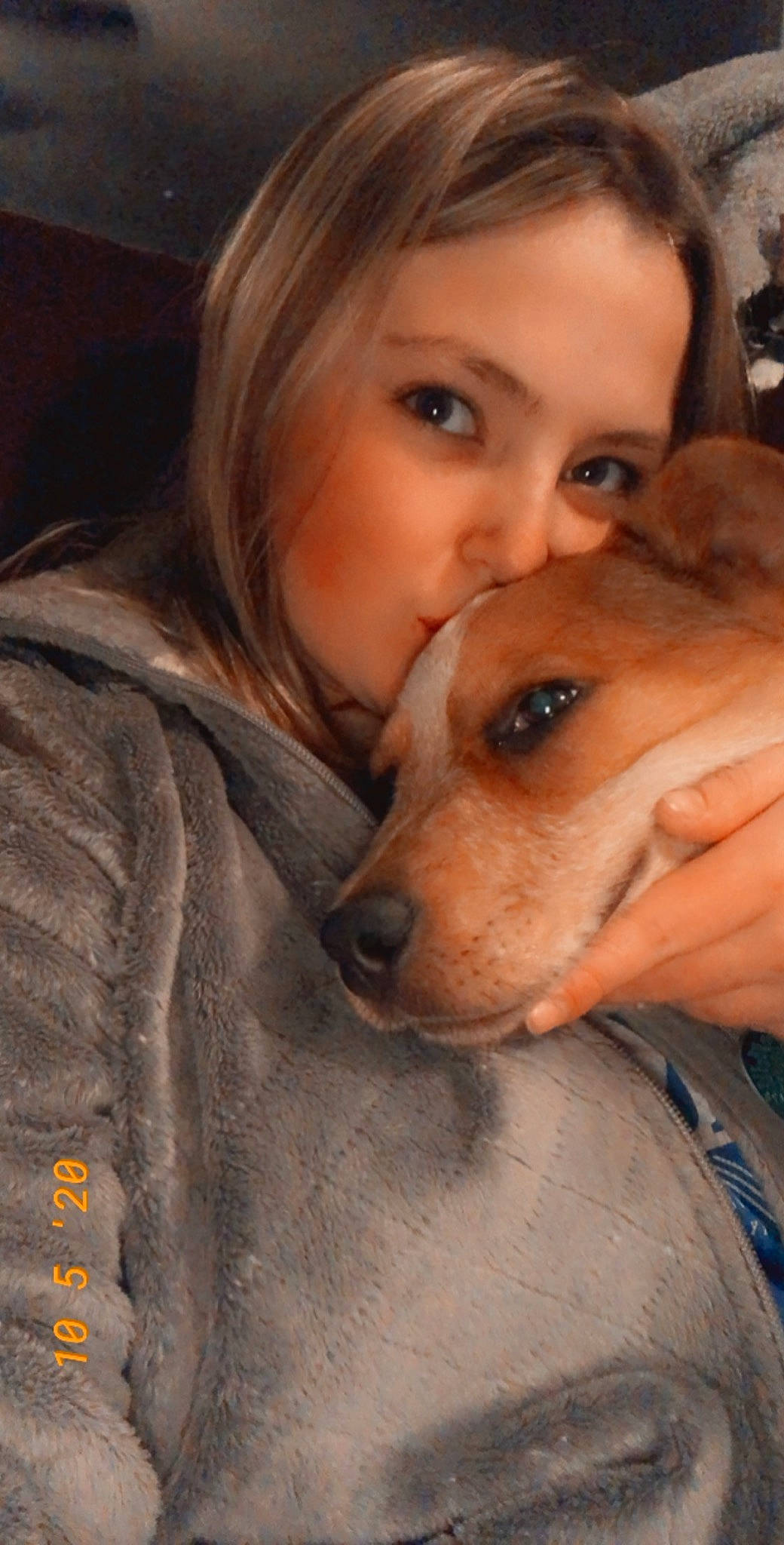 Lila joined the competition — help win amazing prizes! canidae, carnivore, companion_dog, dog, dog_breed, fawn, mammal, nose, puppy_love, snout